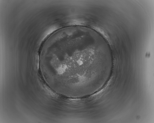 X0000097461219200802221205