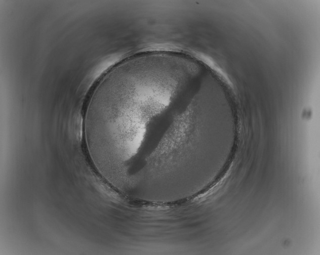 X0000097461221200802221205