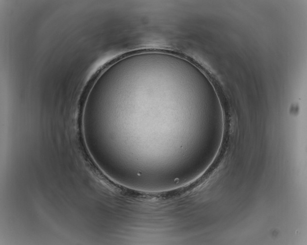X0000097461222200802221205