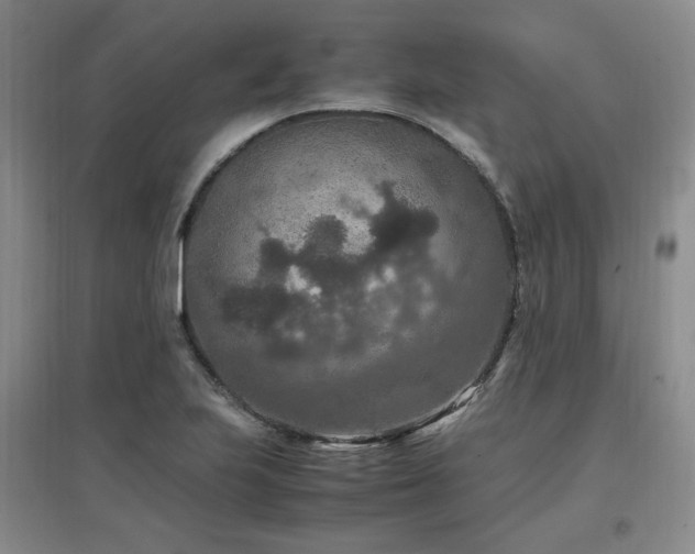 X0000097461223200802221205