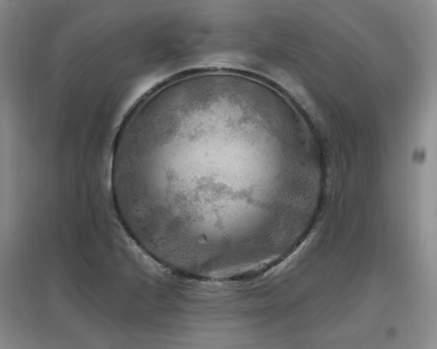 X0000097461224200802221205