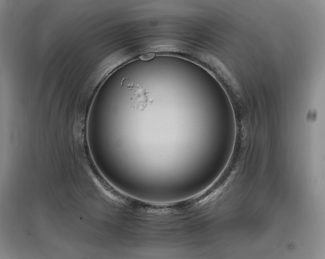 X0000097461225200802221205