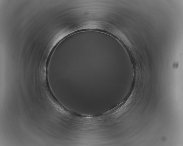 X0000097461226200802221205