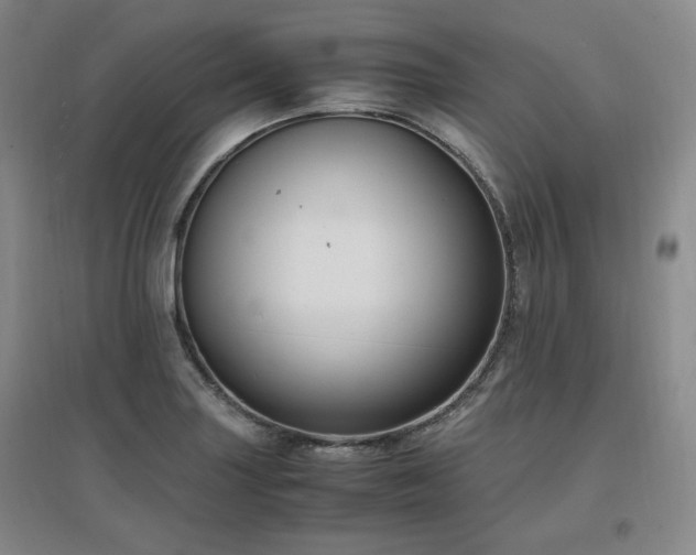 X0000097461227200802221205