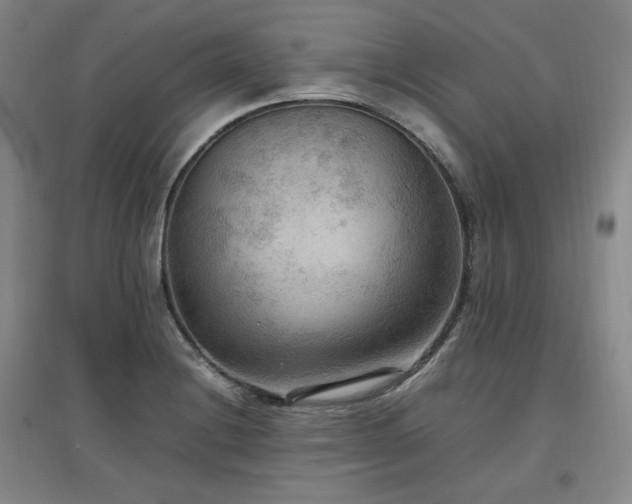 X0000097461228200802221205