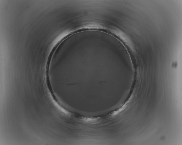 X0000097461229200802221205