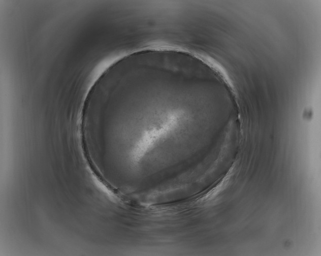 X0000097461231200802221205