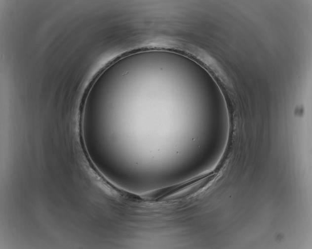 X0000097461232200802221205