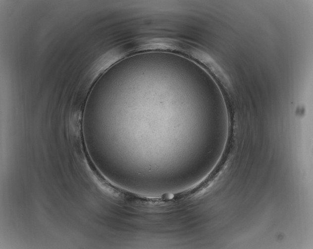X0000097461233200802221205