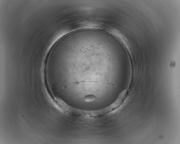 X0000097461235200802221205