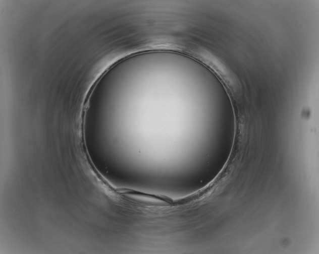 X0000097461236200802221205