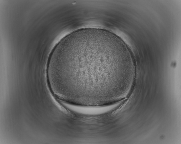 X0000097461237200802221205