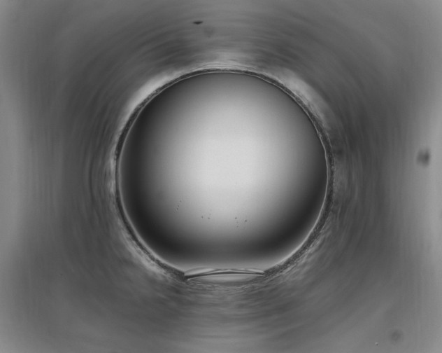 X0000097461238200802221205