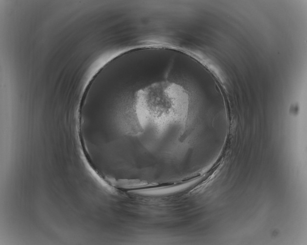 X0000097461239200802221205