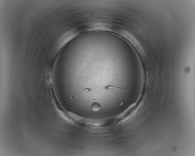 X0000097461241200802221205