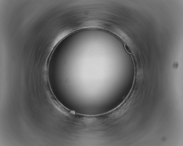 X0000097461242200802221205