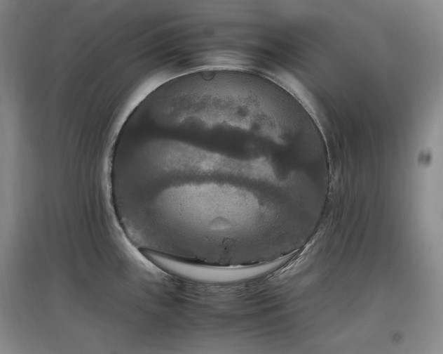 X0000097461243200802221205