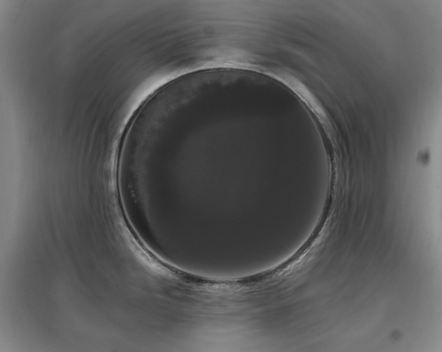 X0000097461246200802221205