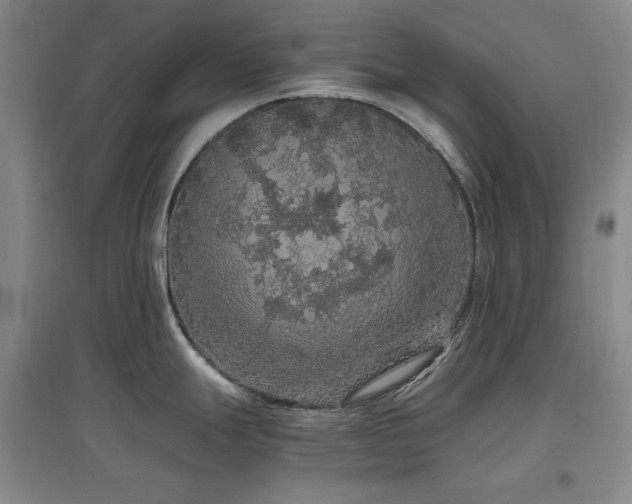 X0000097461247200802221205