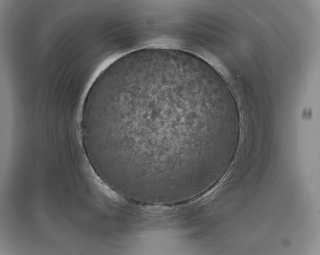X0000097461248200802221205