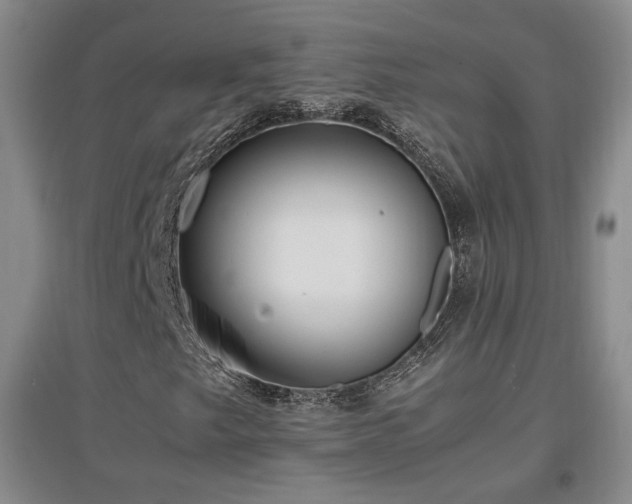 X0000097461249200802221204