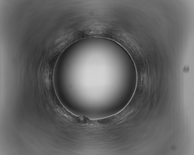 X0000097461250200802221204