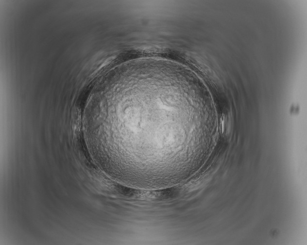 X0000097461251200802221204