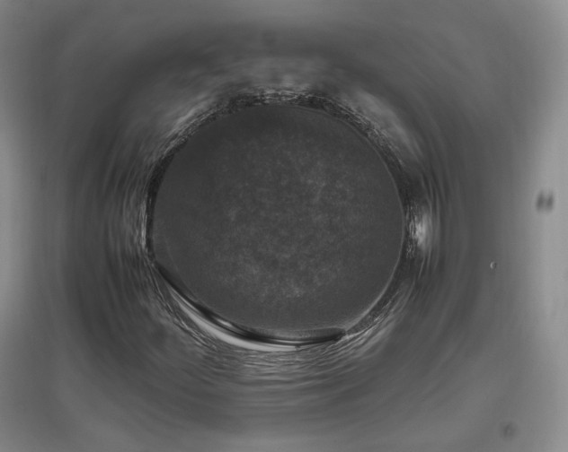 X0000097461252200802221204