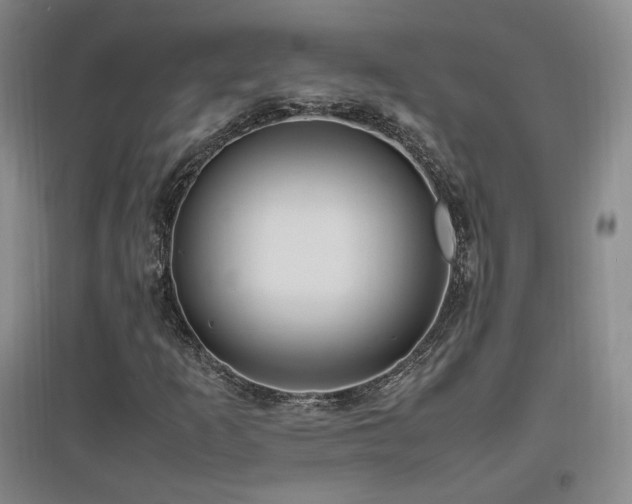 X0000097461253200802221204