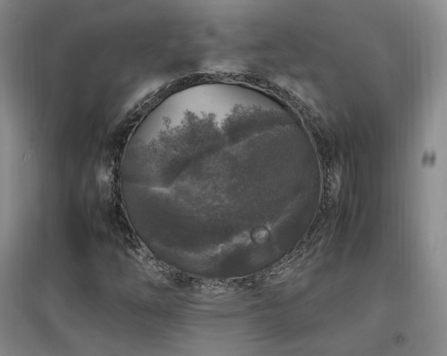 X0000097461254200802221204