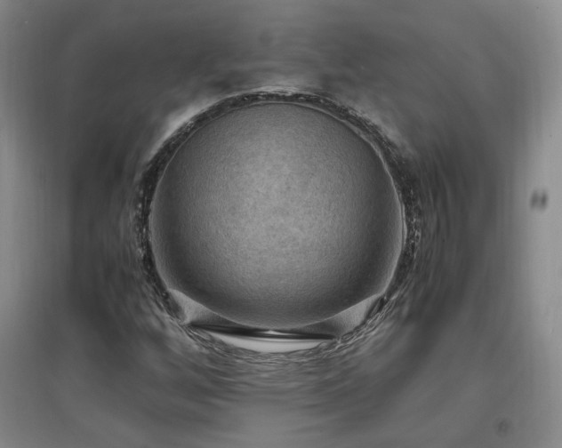 X0000097461256200802221204