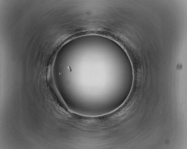 X0000097461257200802221204