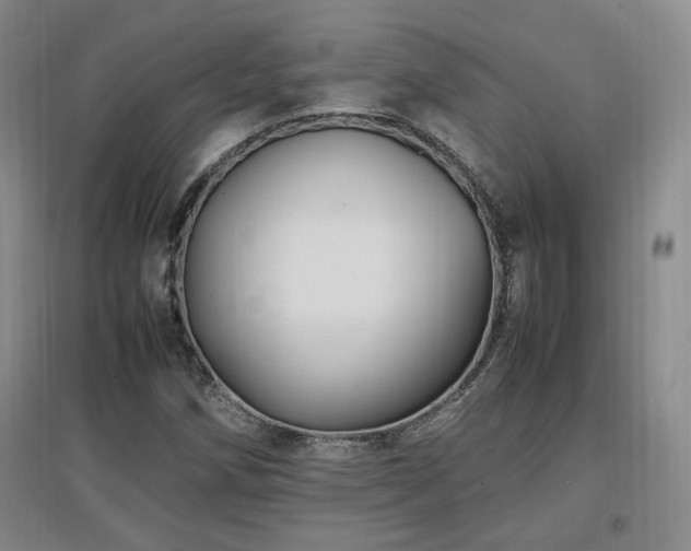 X0000097461258200802221204
