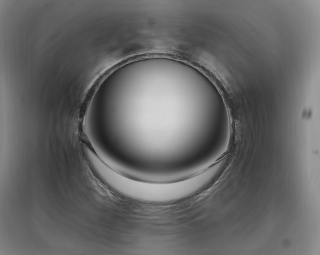 X0000097461260200802221204