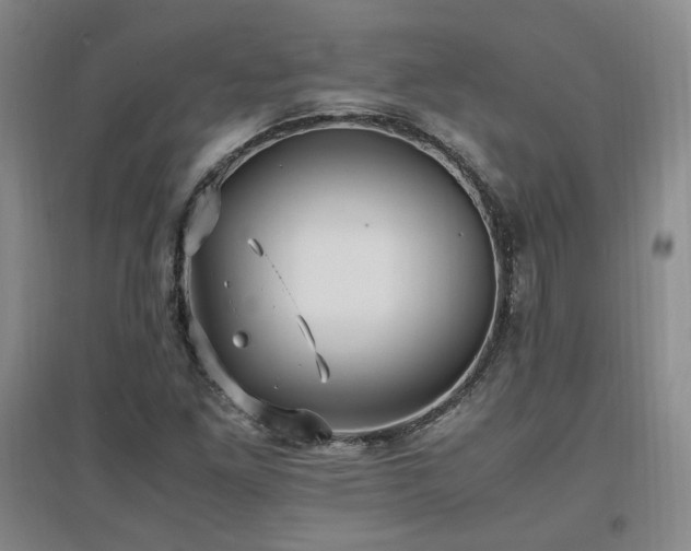 X0000097461261200802221204