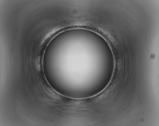 X0000097461262200802221204