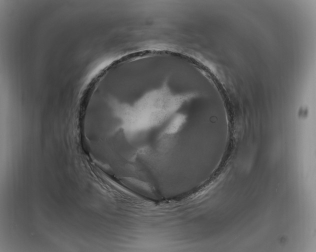 X0000097461263200802221204
