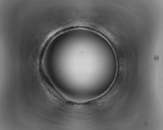 X0000097461264200802221204