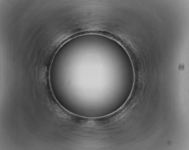 X0000097461265200802221204
