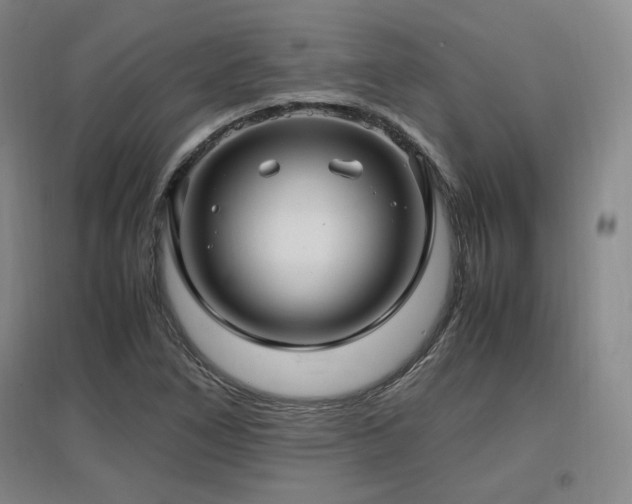 X0000097461266200802221204