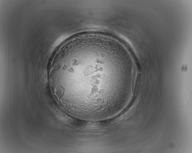 X0000097461267200802221204