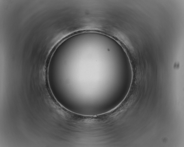 X0000097461268200802221204