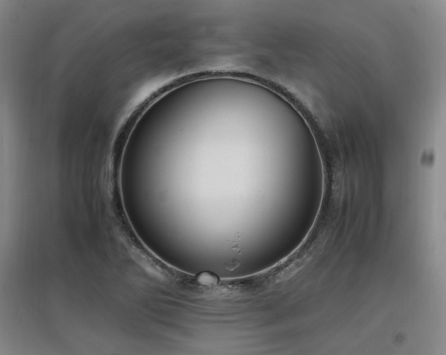 X0000097461270200802221204