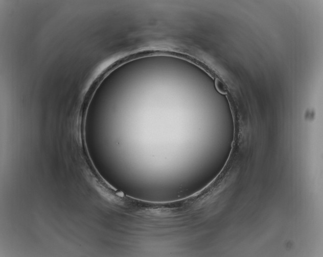 X0000097461272200802221204