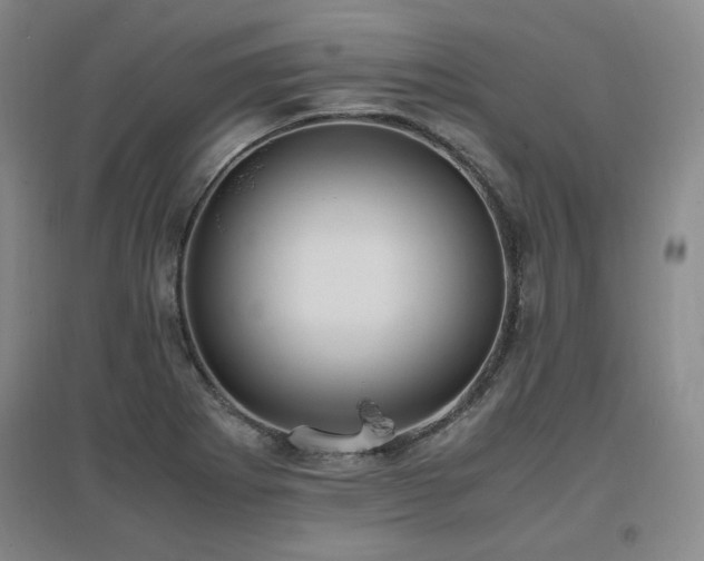 X0000097461273200802221204
