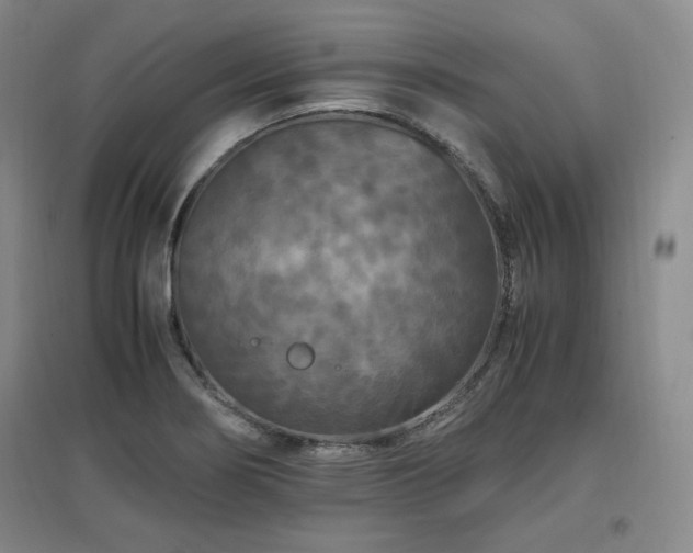 X0000097461274200802221204
