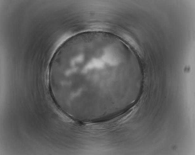 X0000097461275200802221204