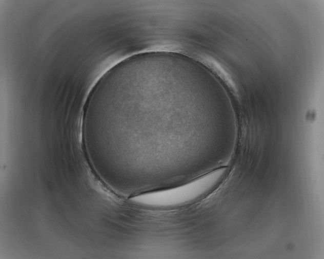 X0000097461276200802221204