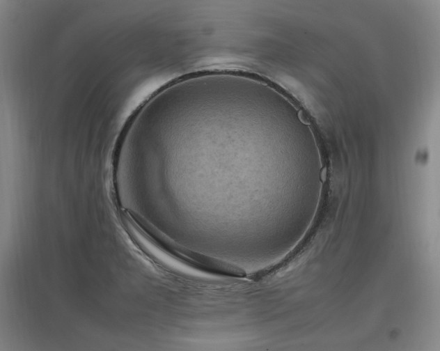 X0000097461277200802221204