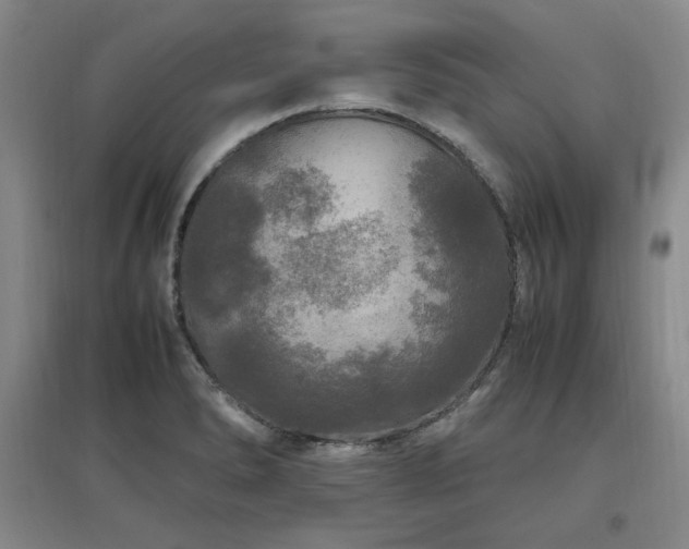 X0000097461278200802221204